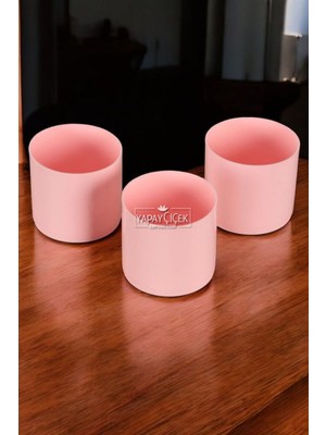 Mini Kaktüs Sukulent Saksısı 3lü Set Pembe Trend Model 8 cm