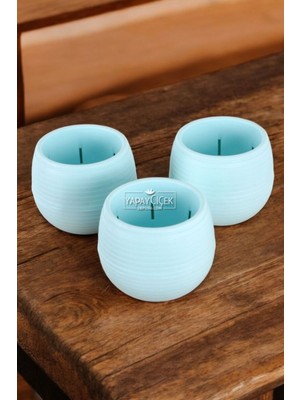 Mini Kaktüs Sukulent Saksısı 3lü Set Turkuaz Elvan Model 12.5 cm 1.3 Litre