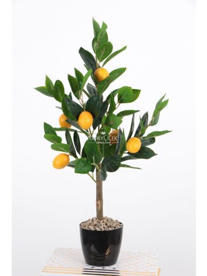 Yapay Bodur Limon Ağacı Siyah Saksıda 60 cm