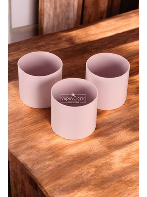 Mini Kaktüs Sukulent Saksısı 3lü Set Pastel Pembe Trend Model 10 cm