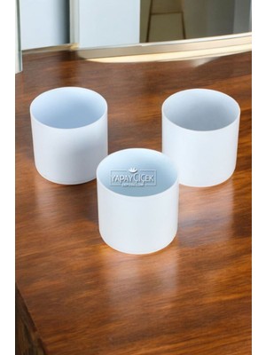 Mini Kaktüs Sukulent Saksısı 3lü Set Soft Mavi Trend Model 8 cm
