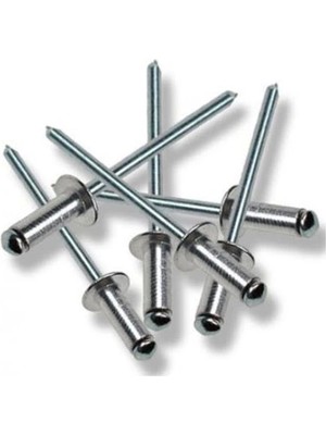 Perçin Pop 4X10 mm (10 Adet)