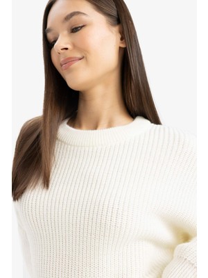 DeFacto Regular Fit Bisiklet Yaka Selanik Kumaş Basic Düz Triko Kazak H6905AZ25WN