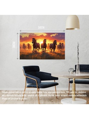 Yabani Atlar Gün Batımında Çayırda Koşuyor 06 Çerçevesiz 50X30 cm Pvc Tablo
