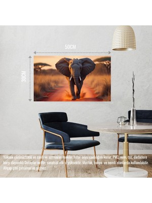Vahşi Doğada Koşan Fil 02 Çerçevesiz 50X30 cm Pvc Tablo