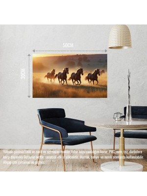 Yabani Atlar Gün Batımında Çayırda Koşuyor 01 Çerçevesiz 50X30 cm Pvc Tablo