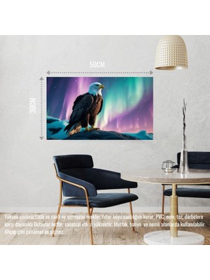 Kartal Kuzey Işıkları Altında 02 Çerçevesiz 50X30 cm Pvc Tablo