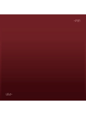 1285 Twıll Ipek 109 - 90X90