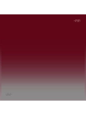 1285 Twıll Ipek 107 - 90X90