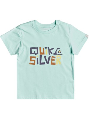 Quiksilver Bigger Picture Boy Erkek Çocuk Renkli Tişört