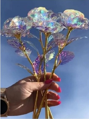 6 Adet Sonsuzluk Gülü Galaxy Vazo Çiçeği Hologramlı Sevgiliye Hediye Özel Gün Hediyesi