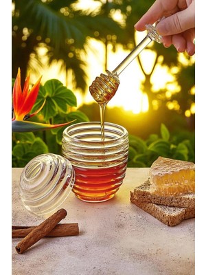iselahome Balora Akrilik Bal Kavanozu Kaşıklı 250 ml