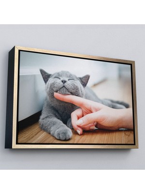 Altın Çerçeveli Sevimli Kedi Dekoratif Kanvas Tablo