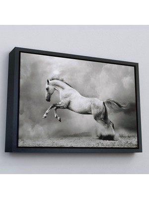 Siyah Çerçeveli Çöldeki Beyaz At Tablosu