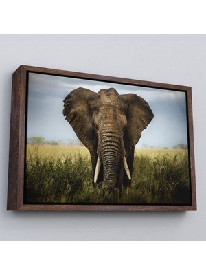 Kahverengi Çerçeveli Fil Dekoratif Kanvas Tablo