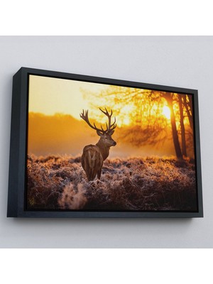 Siyah Çerçeveli Geyik Gün Batımı Dekoratif Kanvas Tablo
