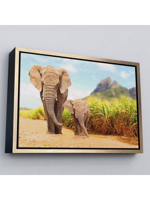 Altın Çerçeveli Fil ve Yavrusu Dekoratif Kanvas Tablo