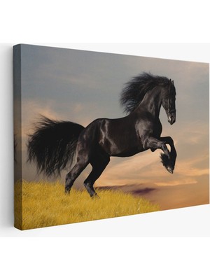 Şaha Kalkmış Siyah At TABLOSU-6613