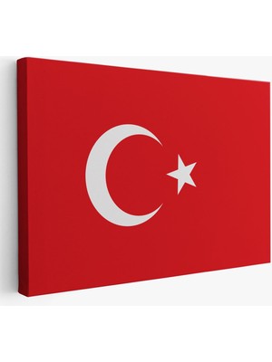 Türk Bayrağı Dekoratif Kanvas Duvar TABLOSU-3668