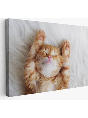 Yavru Kedi Dekoratif Kanvas Tablo 1125