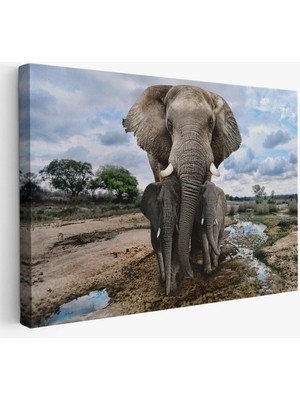 Fil ve Yavruları Dekoratif Kanvas Tablo 1134