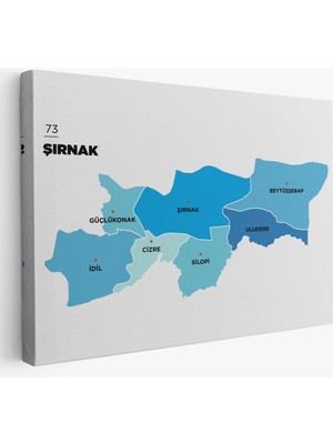 Şırnak Ili ve Ilçeler Haritası Dekoratif Kanvas Tablo 1462