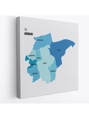 Düzce Ili ve Ilçeler Haritası Dekoratif Kanvas Tablo 1326