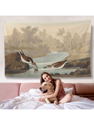 John James Audubon Küçük Çulluklar Duvar ÖRTÜSÜ-7013