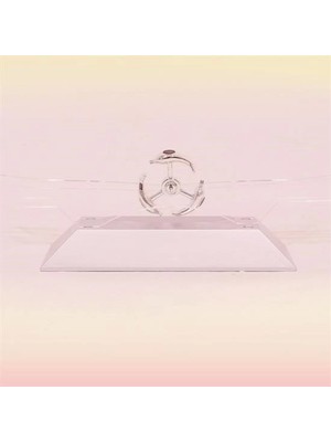 Dekoratif Masa Üstü Obje Manyetik Kinetik Orbital Dönen Yunuslar