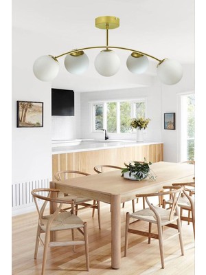 Veronika Modern Globe Kapalı Camlı 5li Avize