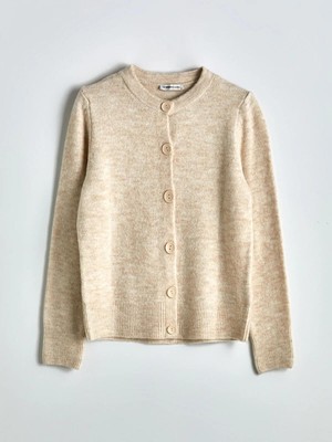 Lcwaıkıkı Classic  Bisiklet Yaka Kadın Triko Hırka  (W5)