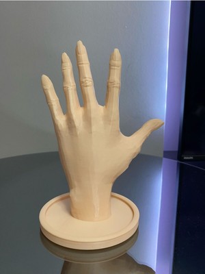 Beyaz 18 cm El Takı Mankeni, Yüzük ve Takı Sergileme Standı, Organizer