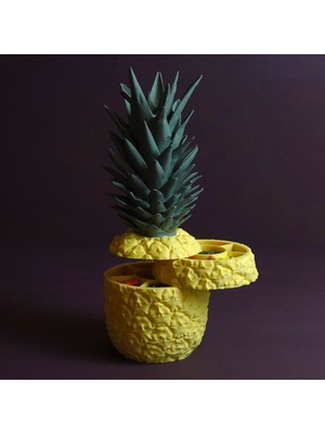 Sarı Ananas Saklama Kutusu - Taze ve Şık Saklama Çözümü