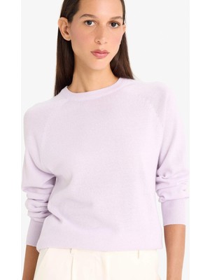 DeFacto Relax Fit Bisiklet Yaka Basic Düz Triko Kazak I6913AZ25WN