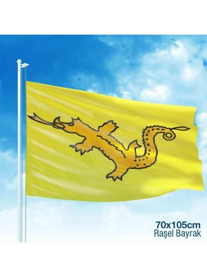 Asilmeydan Büyük Hun İmparatorluğu - 17 Eski Türk Devleti Bayrağı -70x105 cm