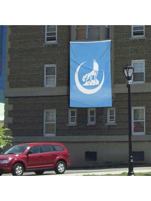 Asilmeydan Bozkurt Ülkü Ocakları Mavi Bayak - Raşel Kumaş 300X450 cm - Flama