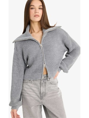 DeFacto Slim Fit Dar Kesim Polo Yaka Fermuarlı Triko Hırka A3333AX25WN