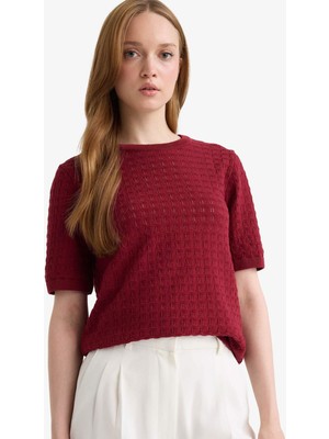 DeFacto Regular Fit Bisiklet Yaka Kısa Kollu Triko Kazak F4974AX25AU