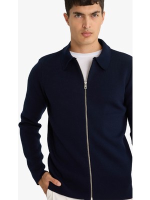 DeFacto Standart Fit Polo Yaka Basic Düz Fermuarlı Triko Hırka D3592AX25WN