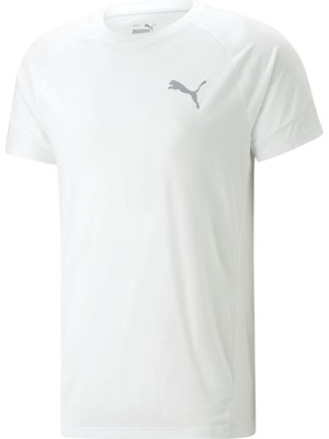 Evostripe Tee Erkek T-shirt