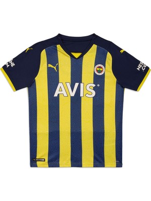 Puma Fsk Çocuk İç Saha Forması 767009