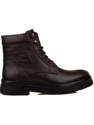 M2S Kahverengi Heros Erkek Siyah Postal Bot