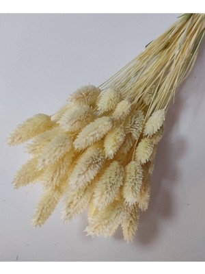 Renkli Kuru Çiçek Demet, 20 Adet, Doğal ve Şık Dekorasyon Aksesuarı