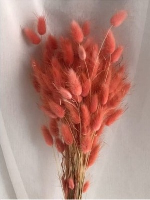 Turuncu Kuru Çiçek Demeti, 10 Dal, Doğal ve Şık Dekor Için Ideal Seçenek