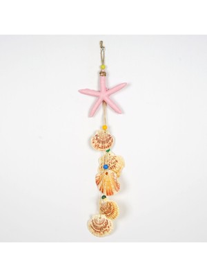 Renkli Deniz Kabuklu Yıldız Duvar Süsü, Şık ve Renkli Dekoratif Parça