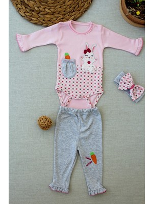 3-6 9-12 12-18 Ay Havuç Tavşan Nakışlı Bandanalı Uzun Kollu Zıbınlı 3lü Kız Bebek Tak Pembe