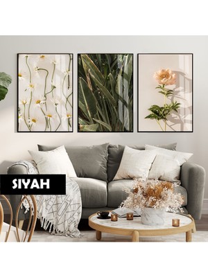 Harikabirev Harikabirev|yeşil-Krem Papatya Gül Kombini (Anthemıs Chıa) |çerçeveli Cam Tablo 3lü Dikey