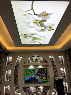 Çok Renkli Salon Gergi Tavan Modelleri, Şık ve Modern Tasarımlar