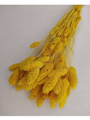 Sarı Kuru Çiçek Demet, 60 Dal, Doğal ve Şık Dekorasyon Için Ideal