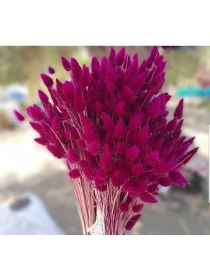 Mor Kuru Çiçek Demeti, 40 Dal, Doğal ve Şık Dekorasyon Için Ideal Seçenek